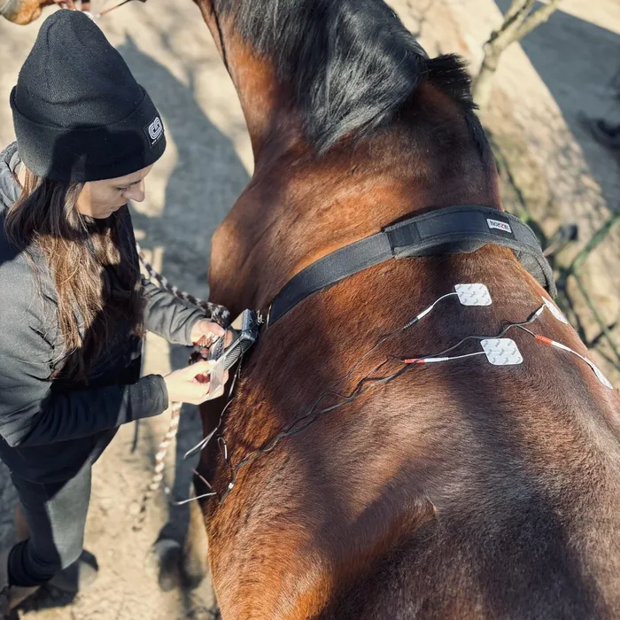 Kadr z Instagrama Gallop Health Solutions